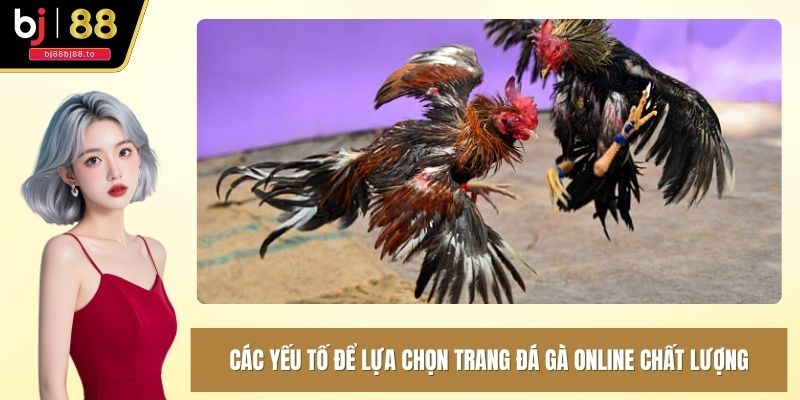 Các yếu tố để lựa chọn trang đá gà online chất lượng