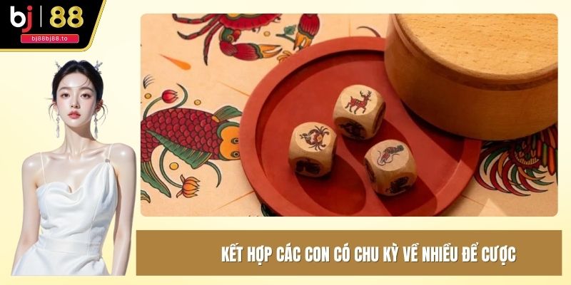 Kết hợp các con có chu kỳ về nhiều để cược