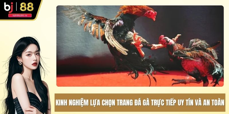 Kinh nghiệm lựa chọn trang đá gà trực tiếp uy tín