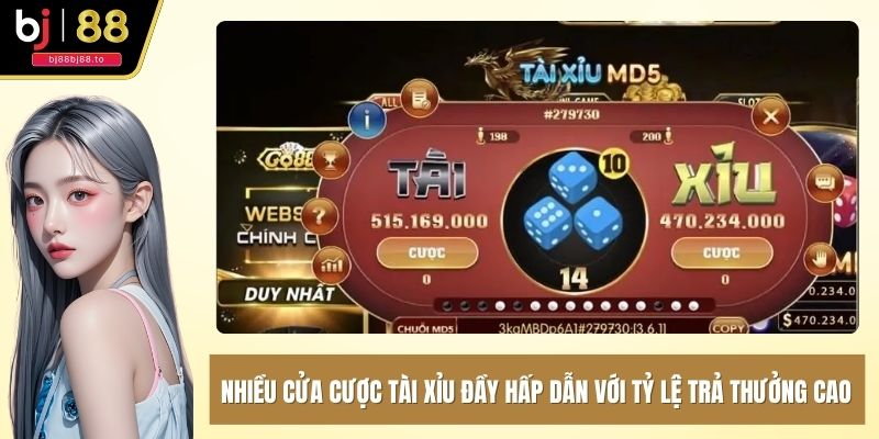 Nhiều cửa cược tài xỉu đầy hấp dẫn với tỷ lệ trả thưởng cao