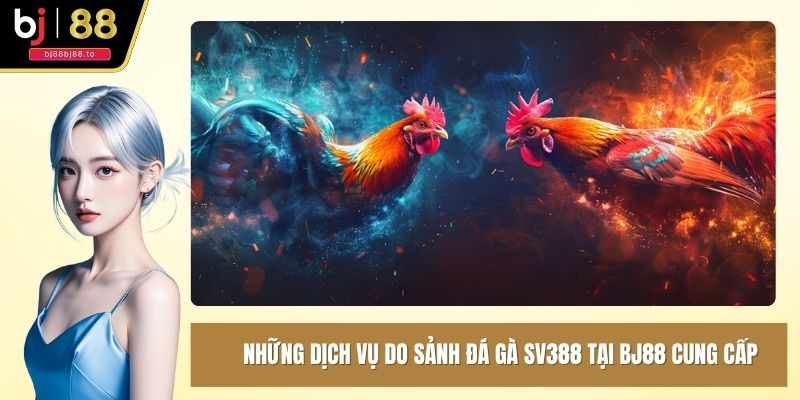 Những dịch vụ do sảnh đá gà SV388 tại BJ88 cung cấp