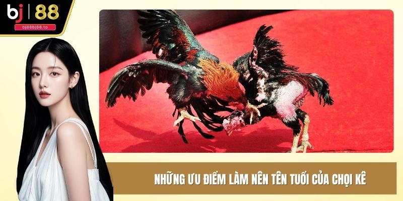 Những ưu điểm làm nên tên tuổi của chọi kê