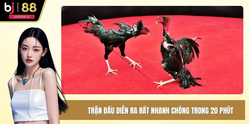Trận đấu diễn ra rất nhanh chóng trong 20 phút