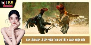 vảy liên giáp là gì