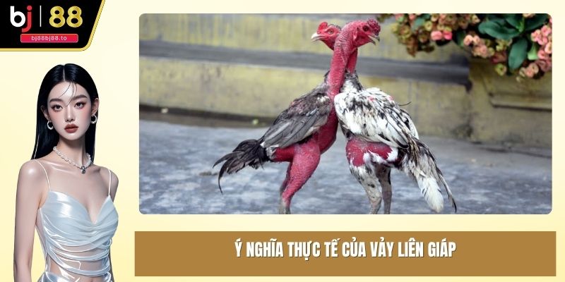 Ý nghĩa thực tế của vảy liên giáp